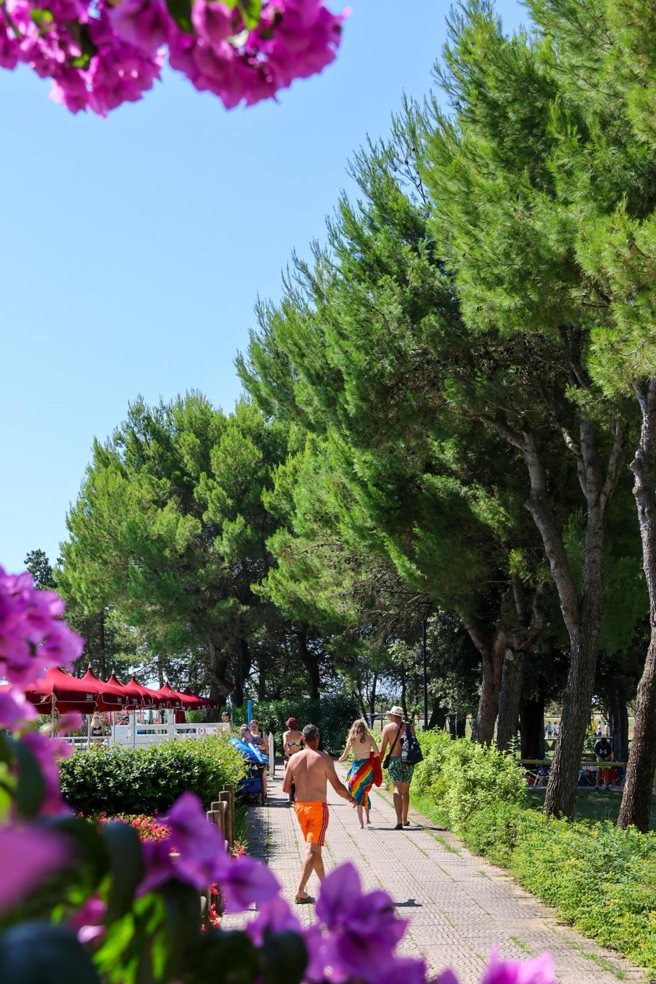 Il Tridente Hotel Bibione Exterior photo